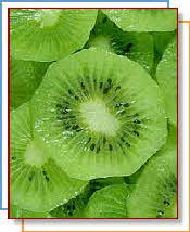 KIWI FRUIT