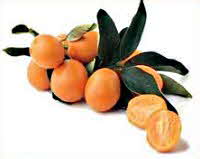 Kumquats