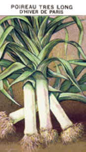 Leeks: D'Hiver de Paris