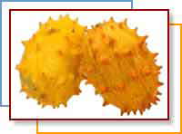 African Horned Melon (Kiwano)