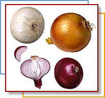 3 onion colors