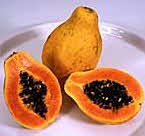 Papaya