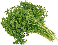 Curley Leaf Parsley