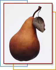 PEAR