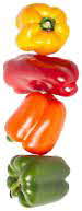 Bell Pepper Colors