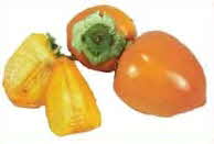 Persimmons