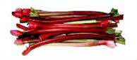 Red Rhubarb