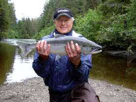 Sockeye Salmon Run