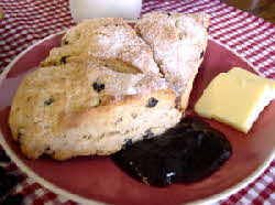 sugar crusted currant scones