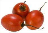 Tamarillo