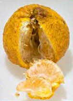 Ugli Fruit, Cut