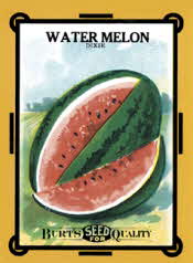 Watermelon