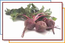 BEETS