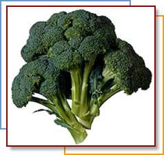 Broccoli