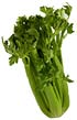 celery