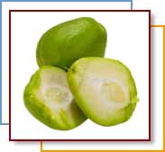 CHAYOTE