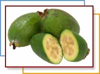 feijoa