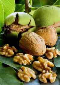 Walnuts