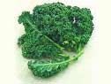 KALE