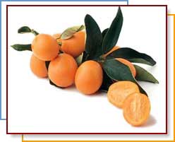 KUMQUATS