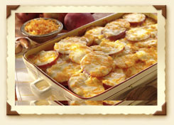 scalloped potatoes amish colby jack