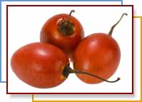 tamarillo