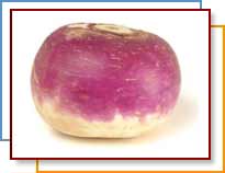 turnip