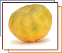 UGLI FRUIT