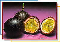 Passion Fruit