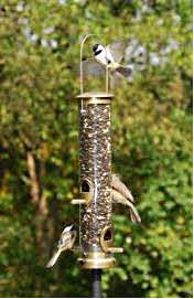 Birdfeeder