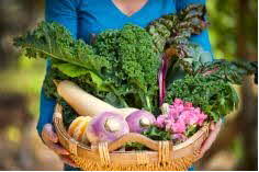 Basket of Garden Vegetables