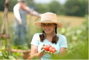 Enjoy your tomatoes!