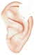 Ear Ear