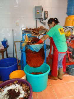 Milling Pollo Enchilado Ingredients